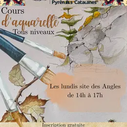 Cours D'Aquarelle Tous Niveaux
