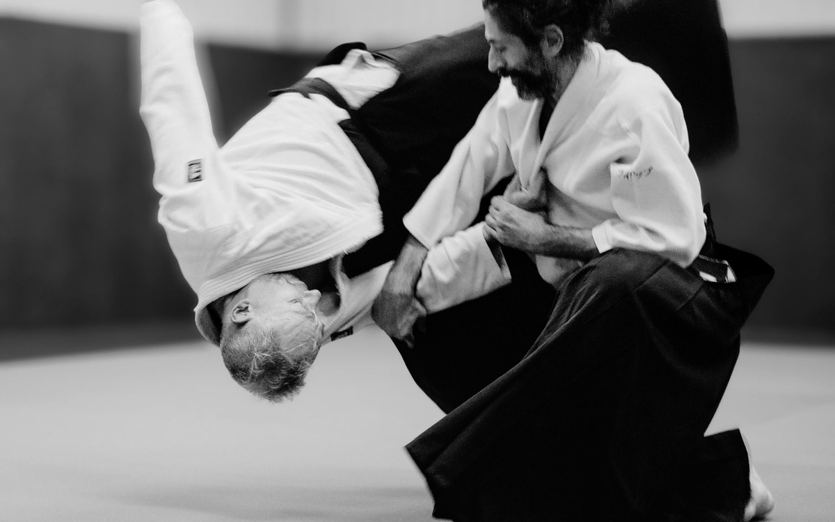 Cours d'été d'Aïkido ouverts à toutes et tous.