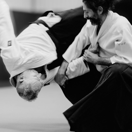 Cours d'été d'Aïkido ouverts à toutes et tous.