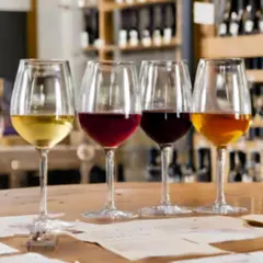 Cours d'œnologie Cépages et terroirs à Angers (49)