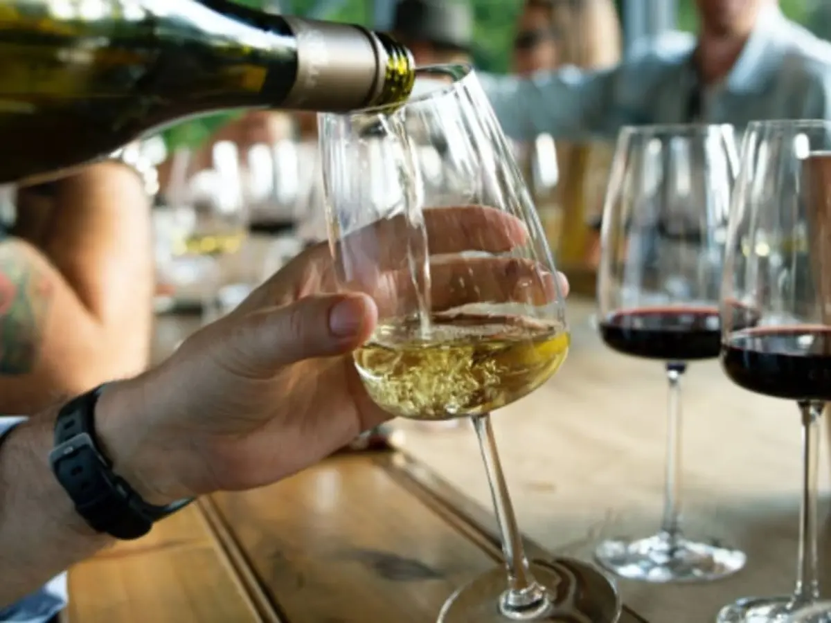 Cours d'œnologie Cépages et terroirs à Metz (57)