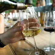 Cours d'œnologie Cépages et terroirs à Metz (57)