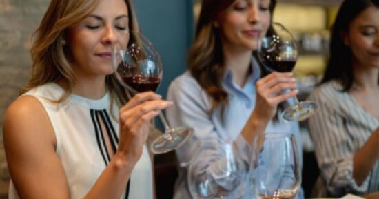 Cours d'&oelig;nologie "C&eacute;pages et terroirs" &agrave; Orl&eacute;ans (45)