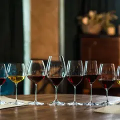 Cours d'œnologie Initiation à dégustation de vin Saint Etienne