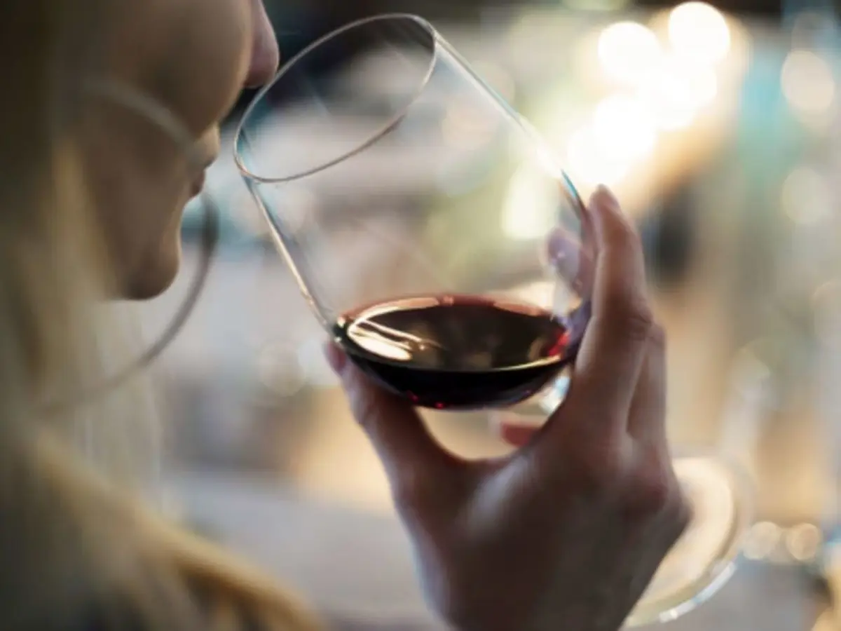 Cours d'œnologie Initiation à la dégustation de vin à Annecy