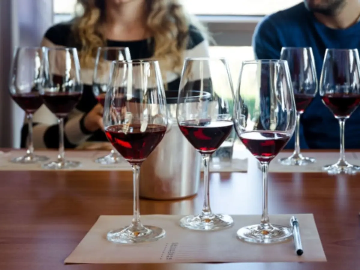 Cours d'œnologie Initiation dégustation de vin à Nîmes (30)