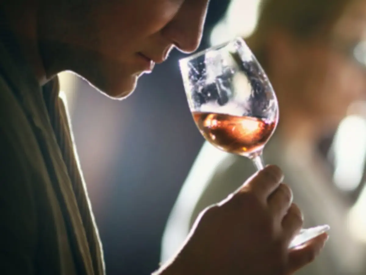 Cours d'œnologie Les arômes du vin à Marseille (13)