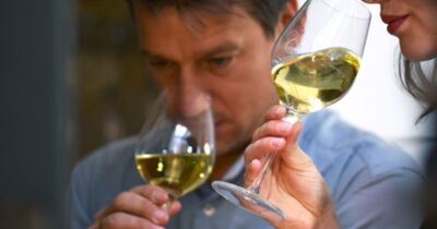 Cours d'&oelig;nologie "Les ar&ocirc;mes du vin" &agrave; Orl&eacute;ans (45)