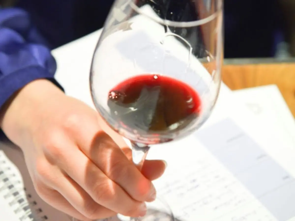 Cours d'œnologie Les nuances de rouge à Paris (75)