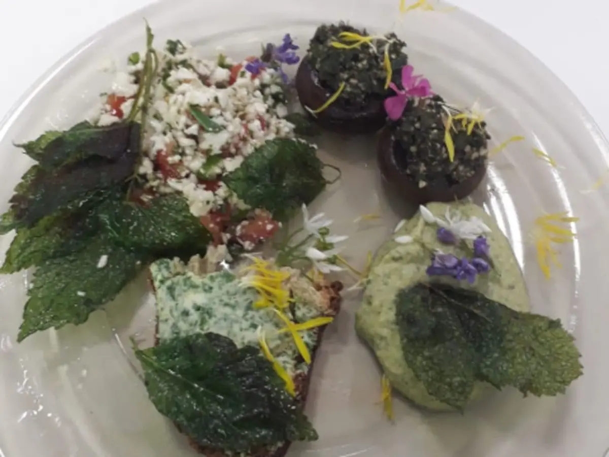 Cours de cuisine végétarienne aux plantes sauvages (67)