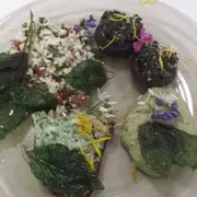 Cours de cuisine végétarienne aux plantes sauvages (67)