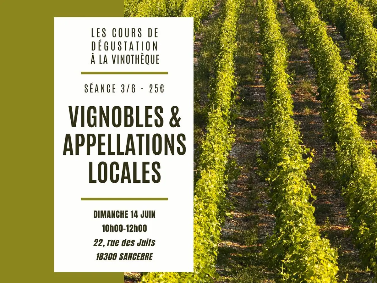 Cours de dégustation : vignobles et appellations locales