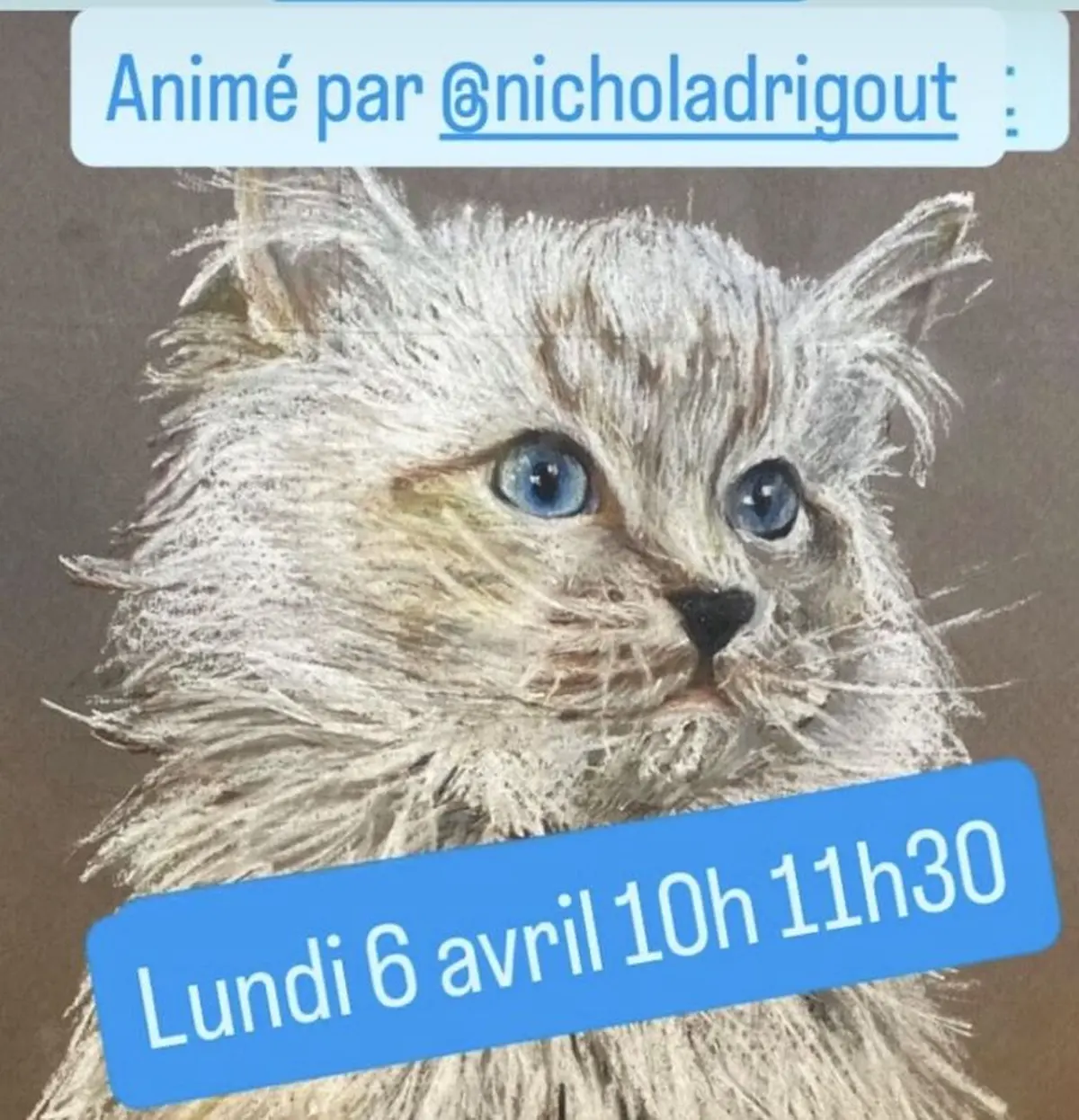 Cours de dessins  au Ô p'tits chats gaillards