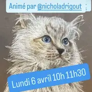 Cours de dessins  au Ô p'tits chats gaillards