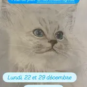 Cours de dessins (Ô p'tits chats gaillards)