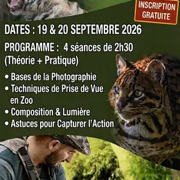 Cours gratuit de photographie animalière