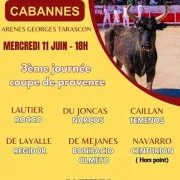 Course camarguaise
