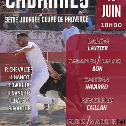 Course camarguaise