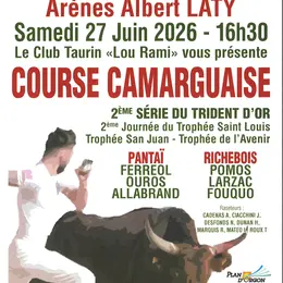 Course camarguaise
