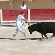Course camarguaise aux arènes - niveau Avenir