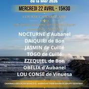 Course camarguaise aux arènes - Trophée des Impériaux Espoirs - Avenir