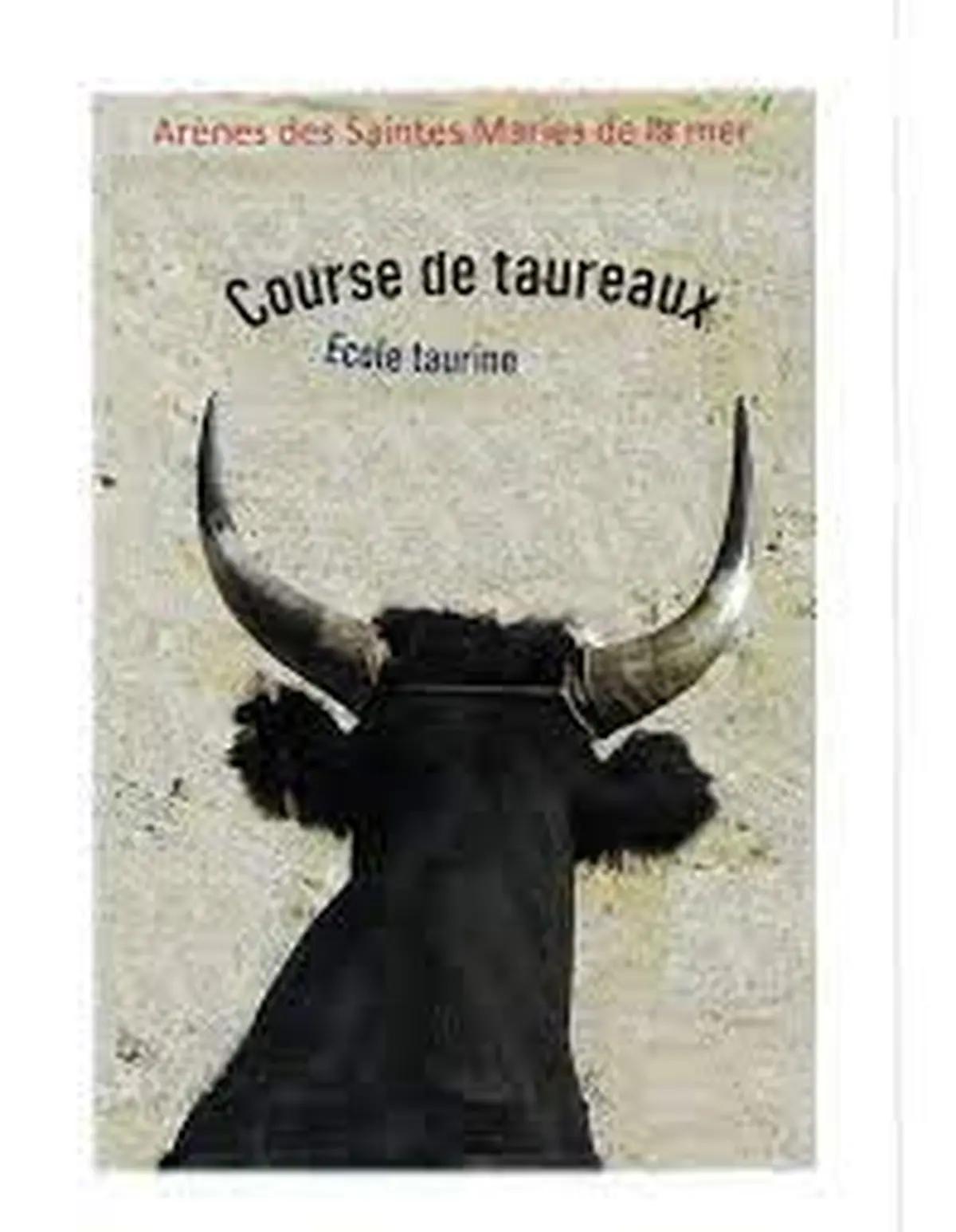 Course Camarguaise avec une école Taurine