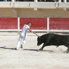 Course Camarguaise avec une école Taurine (Sous réserve)