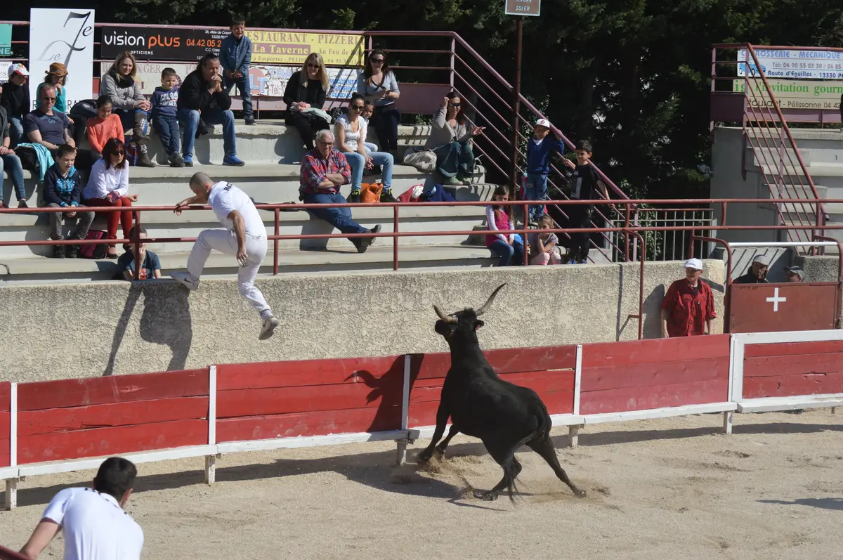 Course camarguaise  : Course de Ligue PACA