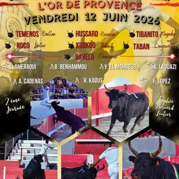 Course Camarguaise de Raphèle – Trophée Avenir « L’Or de Provence »