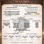 Course camarguaise de Taureaux Jeunes