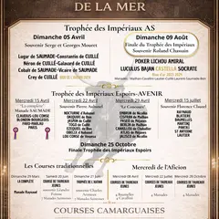 Course camarguaise de Taureaux Jeunes