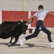 Course camarguaise : École de raseteurs
