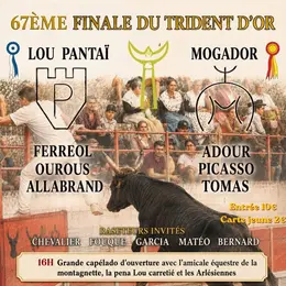 Course camarguaise Finale du Trident d'Or