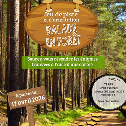Course d'orientation : balade en forêt
