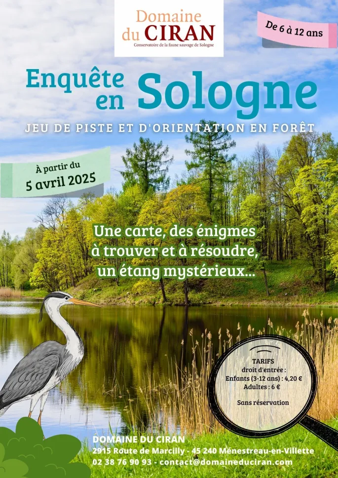 Course d'Orientation • Enquête en Sologne