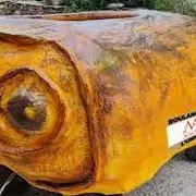 Course de caisse à savon