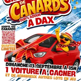 Course de canards