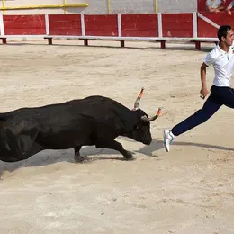 Course de tau