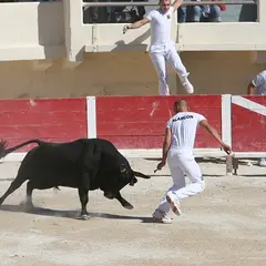 Course de Taù