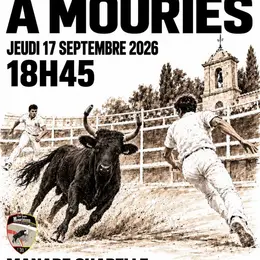 Course de taureaux emboulés à Mouriès