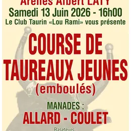 Course de taureaux jeunes