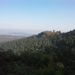 Course des Châteaux d'Ottrott 2026