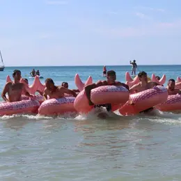 Course des Joyeux baleiniers de la Saint-Martinade