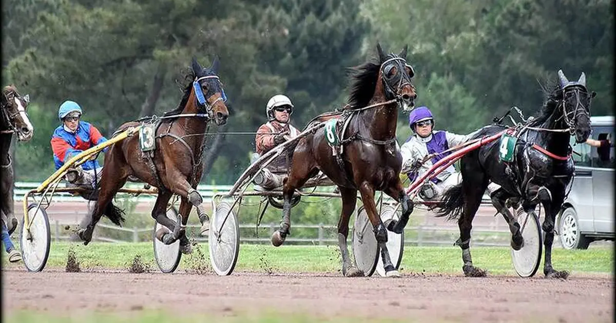 Course hippique