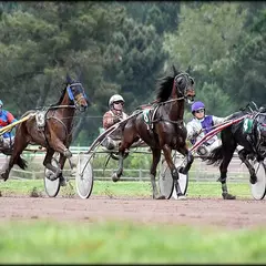 Course hippique
