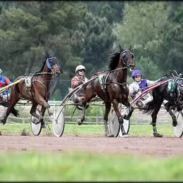 Course hippique