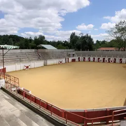 Course landaise