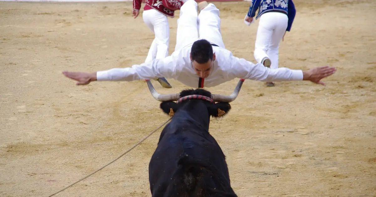 Course Landaise et jeux d'arènes