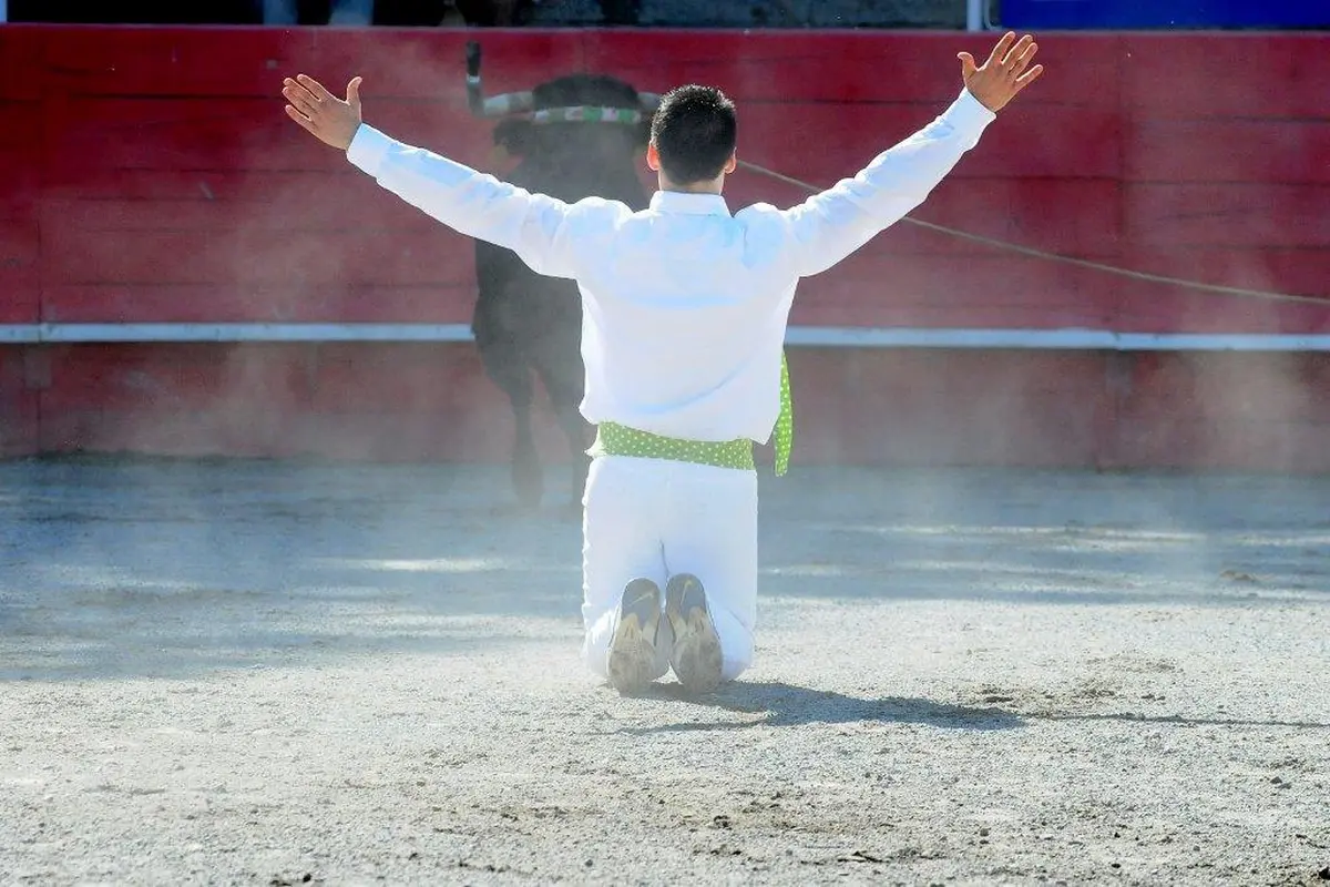 Course landaise ganaderia Nogues cuadrilla Plassin