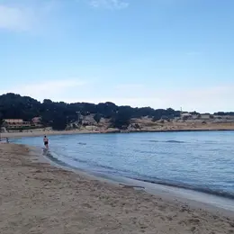 Course nature à La Couronne
